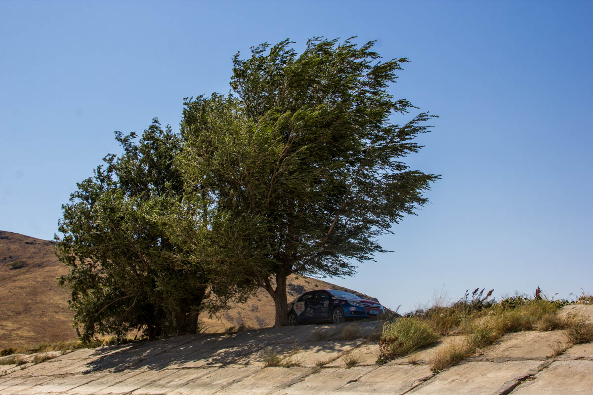 Parking our car in the shade becomes more and more important