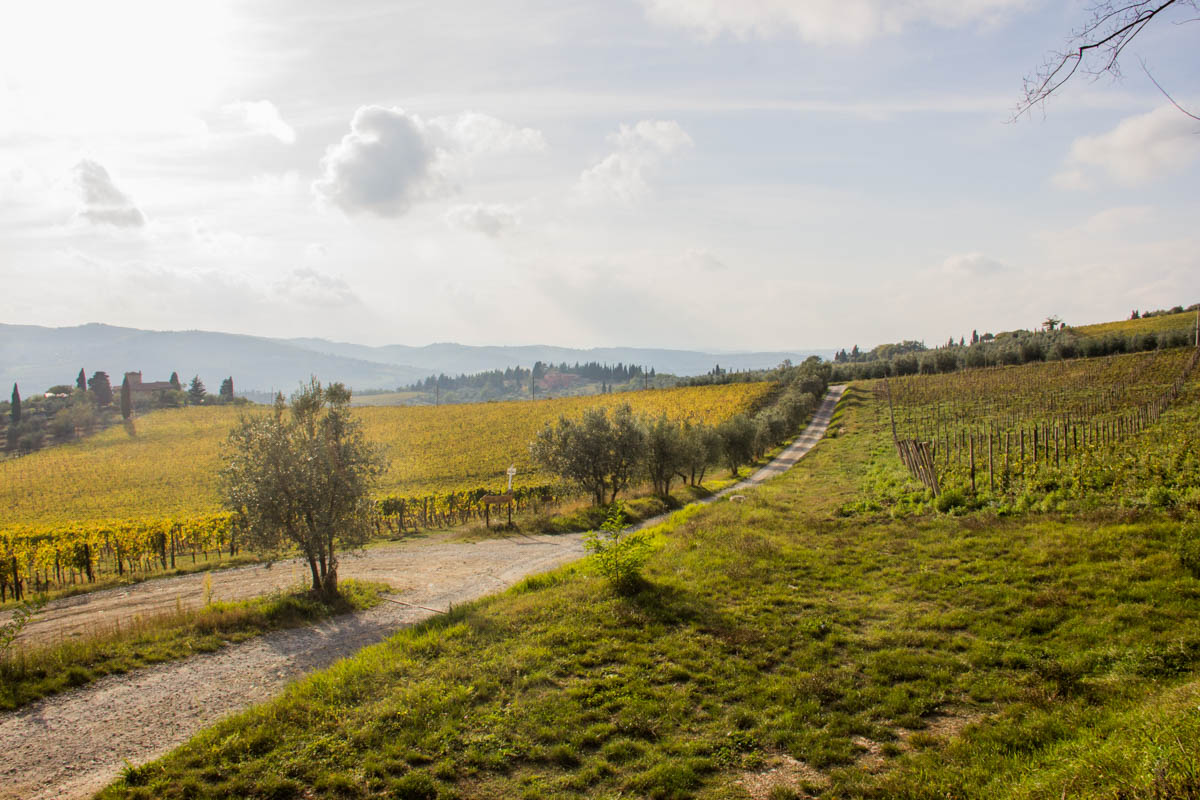 Ow beautiful Tuscany!